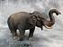 Фигурка Азиатский слон, размер XL  - миниатюра №2