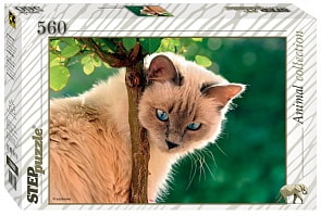 Пазл Синеглазая красавица. Кошка. 560 элементов (Step Puzzle, 78080)