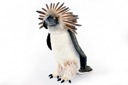 Мягкая игрушка - Филиппинский орел, 50 см. 