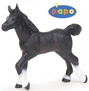 Жеребенок англо-арабской лошади (Papo, 51530_papo)