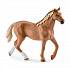 Игровой набор – Английская чистокровная лошадь с аксессуарами  - миниатюра №1