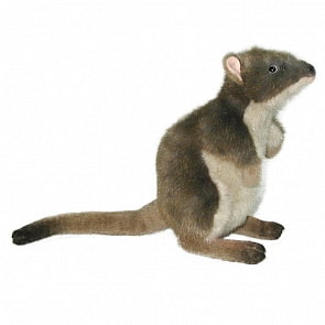 Мягкая игрушка - Потору, 24 см (Hansa, 3850)