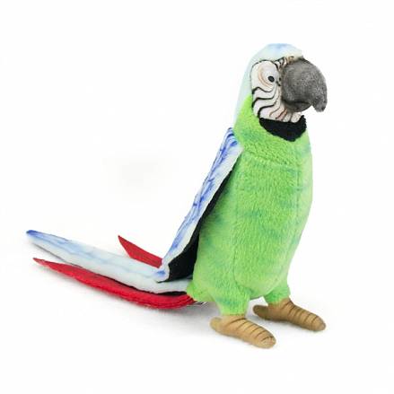 Мягкая игрушка – Зеленый попугай, 37 см 