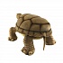 Мягкая игрушка - Галапагосская черепаха, 70 см  - миниатюра №1