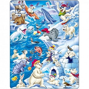 Пазл – Арктика, 36 деталей (Larsen, US28k)