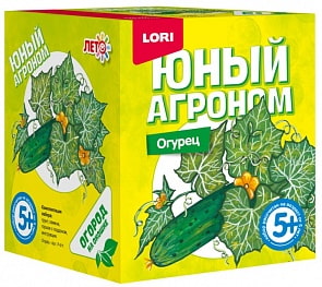 Набор из серии Юный агроном – Огурец (Лори, Р-011)