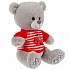 Музыкальная мягкая игрушка – Медведь в футболочке с машинкой, стихи А. Барто, 22 см  - миниатюра №1