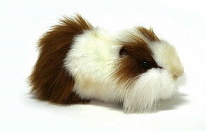 Мягкая игрушка – Морская свинка, бело-рыжая, 24 см (Hansa, 3245)