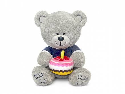 Мягкая игрушка - Медвежонок Ники с тортом, музыкальный, 21,5 см 