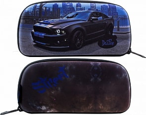 Пенал жесткий DeLune D-839 (Winner, D-839)