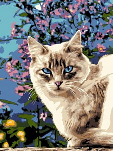 Раскраска по номерам Голубоглазая красотка (Lori, Ркн/ф-250)