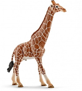Фигурка – Самец жирафа, 17 см (Schleich, 14749k)