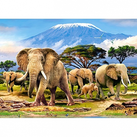 Пазлы Castorland – Утро в Килиманджаро, 300 элементов 