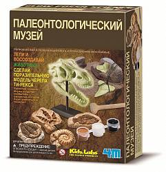 Набор юного учёного - Палеонтологический музей (4M, 00-03356) - миниатюра