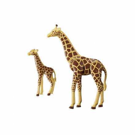 Зоопарк: Жираф со своим детенышем жирафом 
