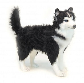 Мягкая игрушка – Хаски черно-белая, 56 см (Hansa, 6495)