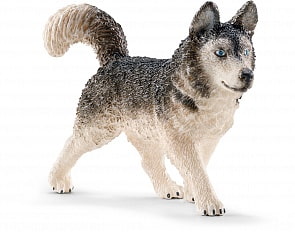 Игровая фигурка – Хаски, 7,7 см (Schleich, 16835k)