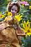 Кукла Sonya Rose Роскошное золото «Золотая коллекция»  - миниатюра №5