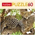 Пазлы – Леопард, 60 элементов  - миниатюра №1