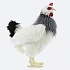 Мягкая игрушка Курица французской породы, 38 см  - миниатюра №2