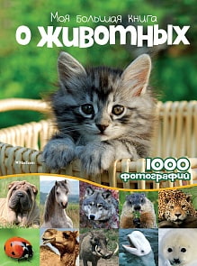 Энциклопедия - Моя большая книга о животных (Махаон, 9785389074873)