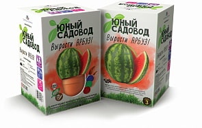 Набор для экспериментов - Юный садовод - Вырасти арбуз (Висма, 401пл)