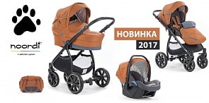 Коляска детская Noordi Polaris Comfort 3/1, Pumpkin (Noordi, 583678)