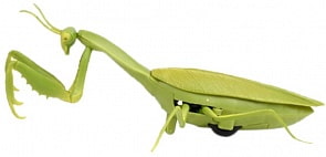 Интерактивная игрушка - Робо-богомол на ИК управлении, световые эффекты (1Toy, Т16443)