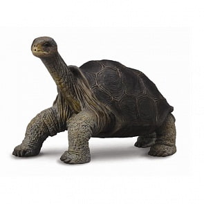 Фигурка Абингдонская слоновая черепаха, размер 15 х 9 см. (Collecta, 88619b)