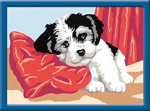 Раскрашивание по номерам «Щенок» (Ravensburger, 27949st)