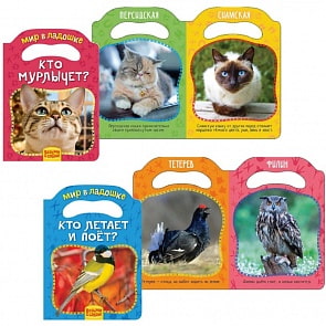 Комплект из 5 книг - Мир в ладошке, 2 (Росмэн, 35484)