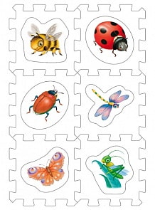 Кубик EVA – сортер - Насекомые (Робинс, 4607058376642)