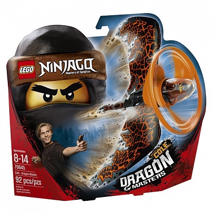 Конструктор Lego Ninjago - Мастер дракона 