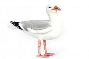 Чайка, 36 см (Hansa, 7259)