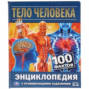 Энциклопедия с развивающими заданиями А5 – Тело человека (Умка, 978-5-506-03479-7)