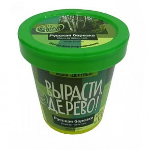 Набор для выращивания растений - Русская берёзка (Зеленый Капитал, zk-061)