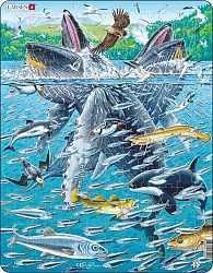 Пазл Горбатые киты в стае сельди 140 элементов (Lasrsen, FH47) - миниатюра