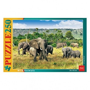 Пазлы 250 элементов – Слоны в саванне (Hatber, 250ПЗ3-11214)