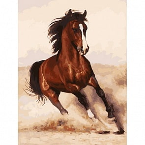 Раскраски по номерам – Галоп, 40 х 30 см (Белоснежка, 107-AS-no)