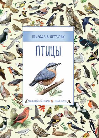 Энциклопедия для детей - Птицы - Природа в деталях 