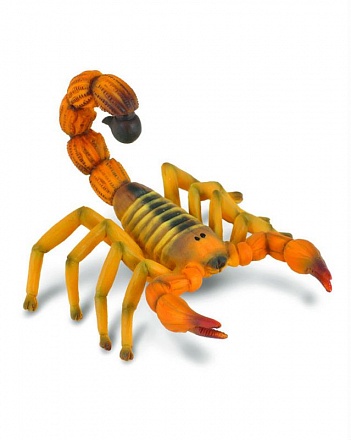 Скорпион 