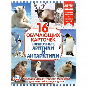 Карточки в папке – Животные Арктики и Антарктиды, 16 обучающих карточек (Умка, 4690590146484)