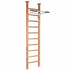 Детский спортивный комплекс Perfetto sport Salute (Perfetto sport, PS-101)