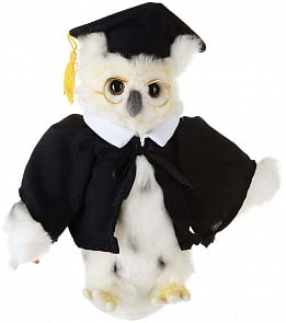 Мягкая игрушка - Сова выпускник, 18 см (Hansa, 6326)