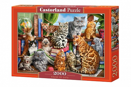 Пазлы Castorland – Кошки, 2000 элементов 