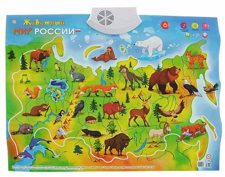 Плакат звуковой - Животный Мир России 