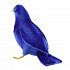 Мягкая игрушка - Синяя птица, 23 см  - миниатюра №4
