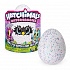 Игрушка из серии Hatchimals - Hatchy-малыш - интерактивный питомец, вылупляющийся из яйца  - миниатюра №3