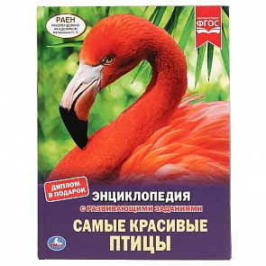Энциклопедия А4 – Самые красивые птицы (Умка, 978-5-506-04304-1)
