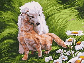 Раскраски по номерам - Обожание, 30 х 40 см (Белоснежка, 061-AS)